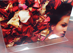 T Style 17x11 Print Holder